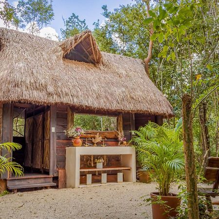 Gasthaus Madre Tierra Eco Habitat Puerto Morelos Exterior foto