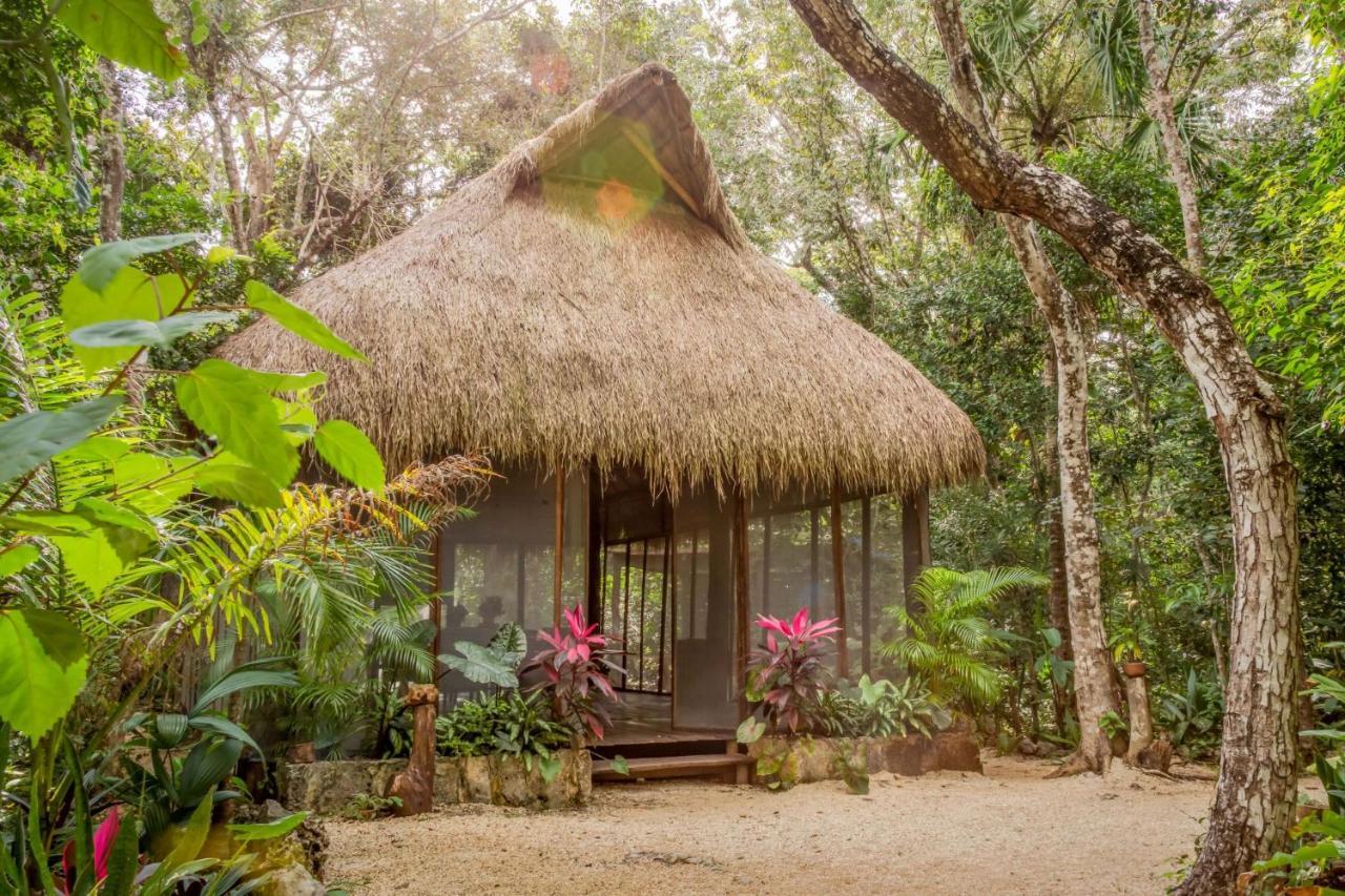 Gasthaus Madre Tierra Eco Habitat Puerto Morelos Exterior foto