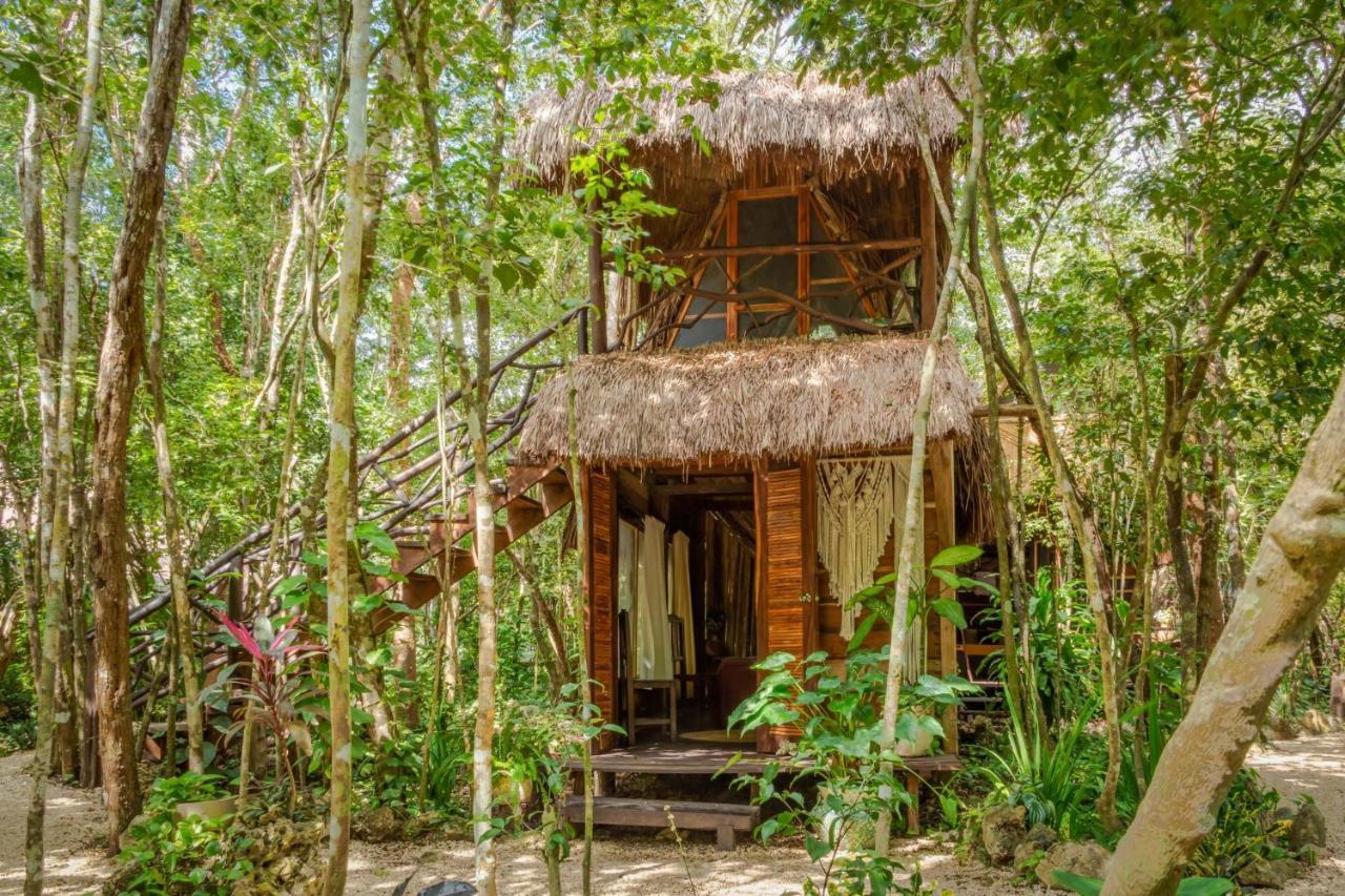Gasthaus Madre Tierra Eco Habitat Puerto Morelos Exterior foto